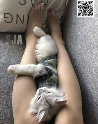侠骨慈航