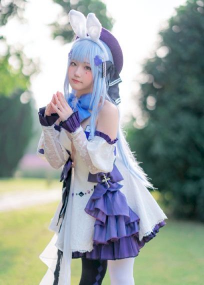 我家娶了花木兰