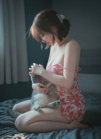 布衣神算