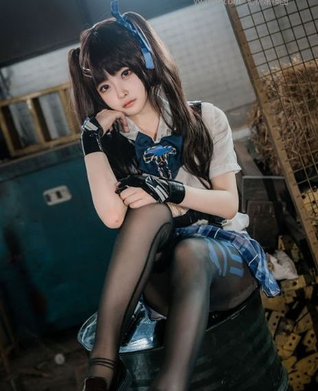 伊丽莎施莱辛不同的动物