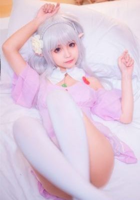 屋顶上的猫