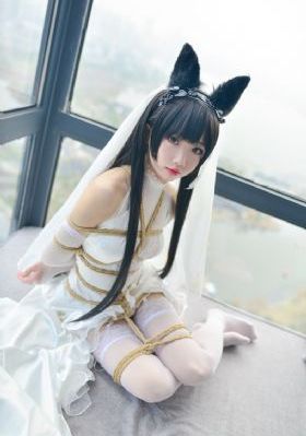 港湾第四季