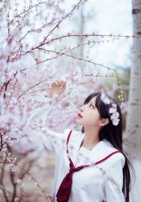 墨爷你前女友又来求复合了