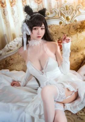 我的老婆是大夏武圣